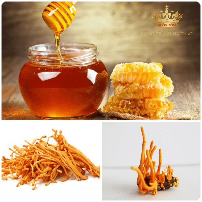 Đông trùng hạ thảo ngâm mật ong