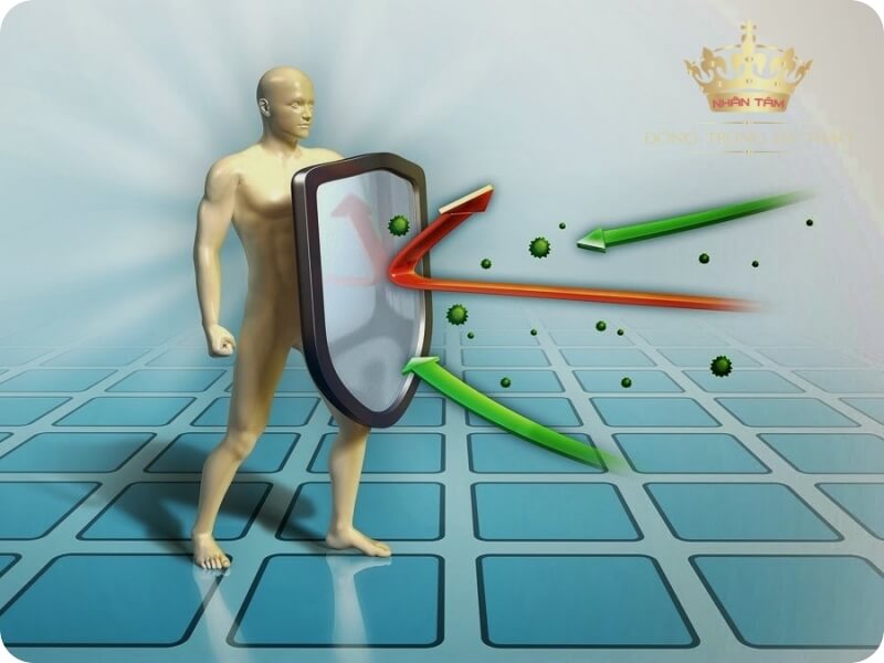 Đông Trùng Hạ Thảo tăng cường hệ miễn dịch